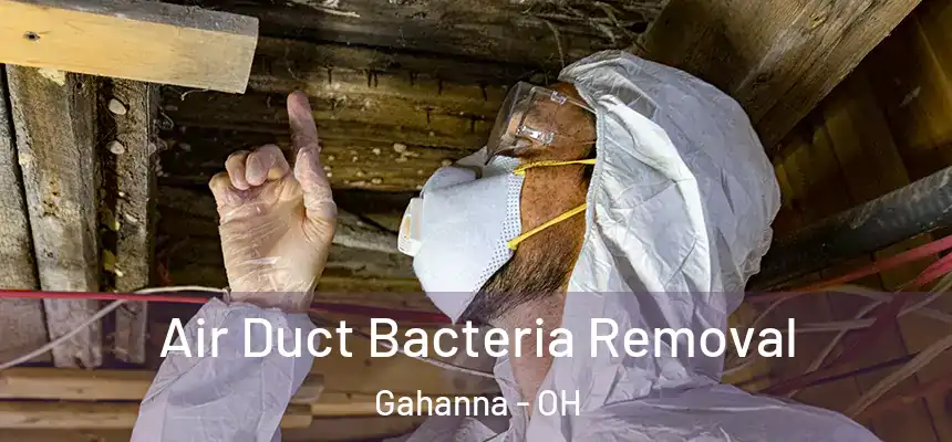 Air Duct Bacteria Removal Gahanna - OH