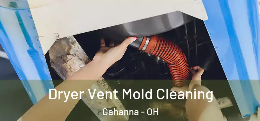  Dryer Vent Mold Cleaning Gahanna - OH