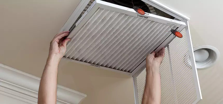 Preventive Cockroach-Proofing for Ducts in Gahanna