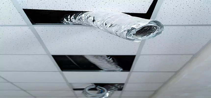 Our Air Duct Pet Hair Removal Services in Gahanna, OH