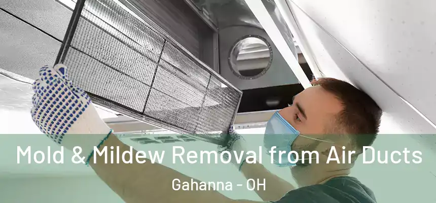  Mold & Mildew Removal from Air Ducts Gahanna - OH