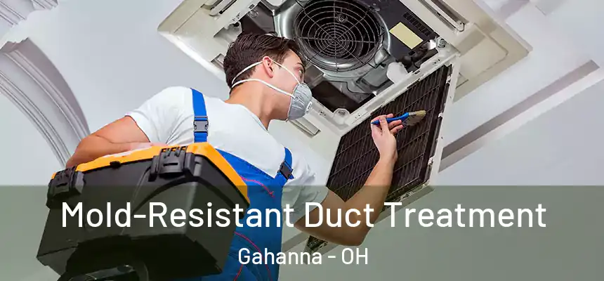  Mold-Resistant Duct Treatment Gahanna - OH