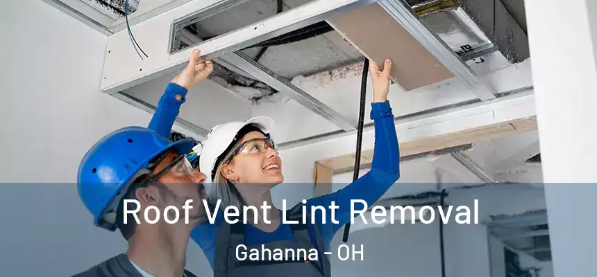  Roof Vent Lint Removal Gahanna - OH