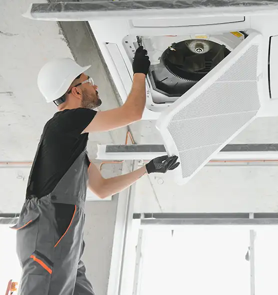 About Air Duct Rodent Removal in Gahanna, OH