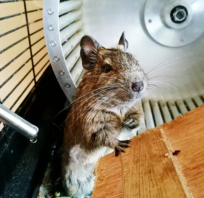 Why Homeowners & Businesses Trust Us Gahanna, OH?